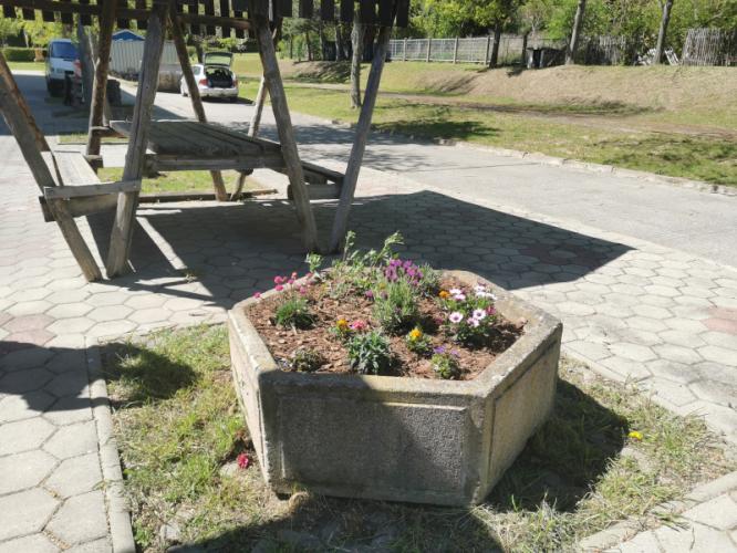 blumenfoto.jpg