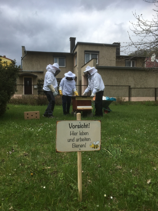 foto_bienen2.jpg