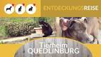 tierheim.jpg